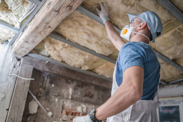 Best Geographic-Specific Insulation Services in Allendale, NJ
